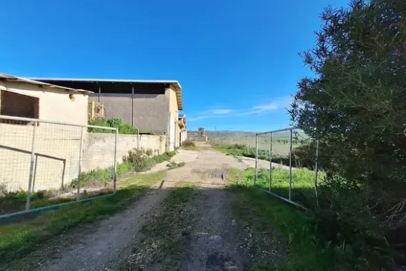 #25198 Compendio industriale zootecnico comprensivo di impianti