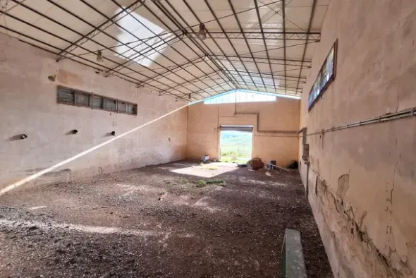 #25198 Compendio industriale zootecnico comprensivo di impianti