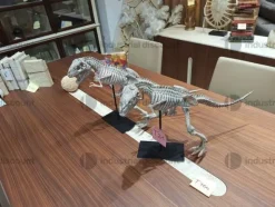 2#8791 Complementi di arredo griffati