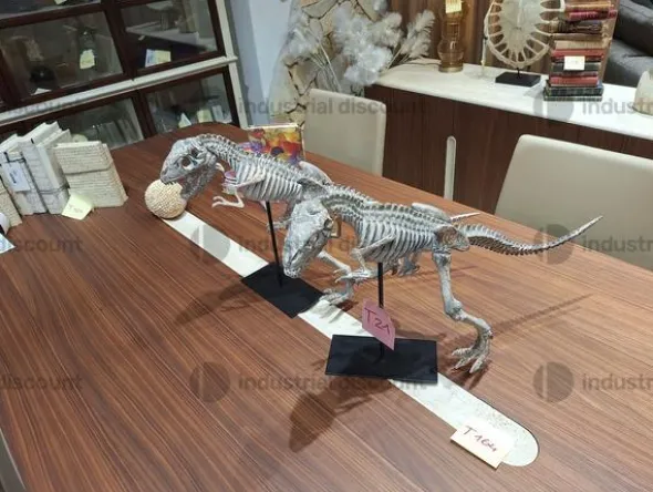 2#8791 Complementi di arredo griffati