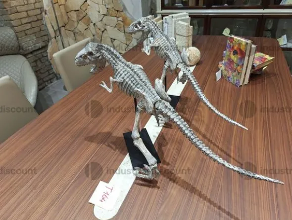 2#8791 Complementi di arredo griffati