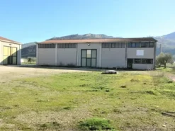 #15107 Complesso agricolo con pertinenze