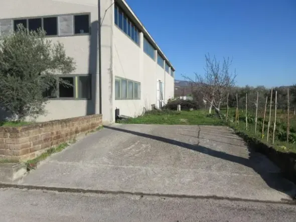 #15107 Complesso agricolo con pertinenze