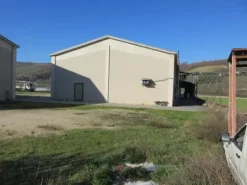 #15107 Complesso agricolo con pertinenze