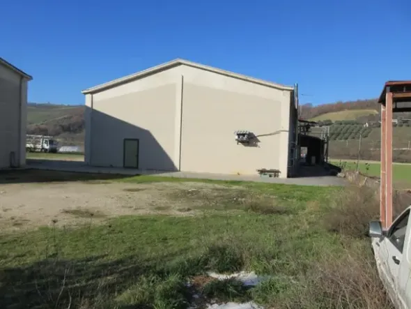 #15107 Complesso agricolo con pertinenze