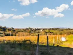 #25003 Complesso agricolo con terreni, abitazione e servizi