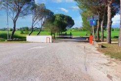 #20769 Complesso agro-industriale con impianto fotovoltaico