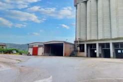 #20769 Complesso agro-industriale con impianto fotovoltaico