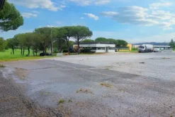 #20769 Complesso agro-industriale con impianto fotovoltaico