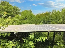 #22968 Complesso alberghiero immerso nel verde della Sila