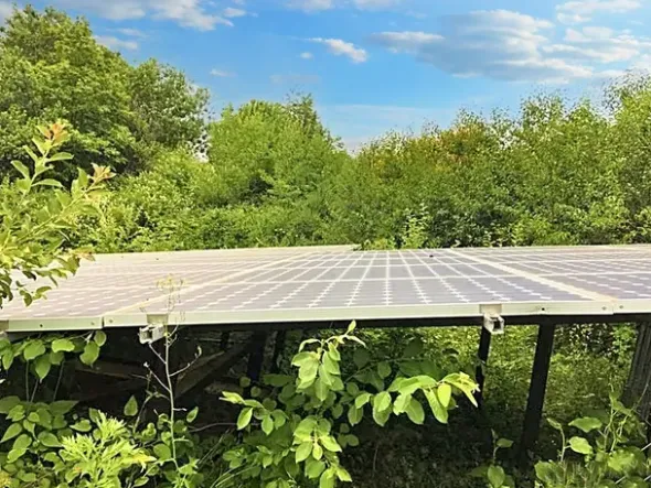 #22968 Complesso alberghiero immerso nel verde della Sila