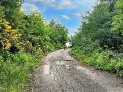 #22968 Complesso alberghiero immerso nel verde della Sila