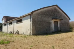 #19448 Complesso artigianale con cortile e pertinenze