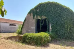 #19448 Complesso artigianale con cortile e pertinenze