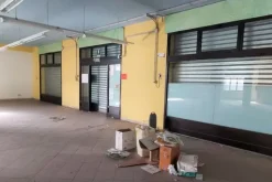 #19451 Complesso artigianale con cortile e pertinenze
