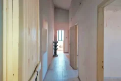 #20410 Complesso artigianale con cortile e pertinenze