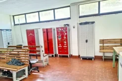 #2536059 Complesso artigianale con cortile e pertinenze