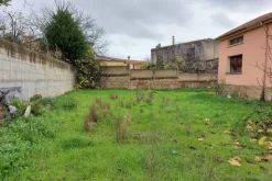 #19432 Complesso artigianale con cortile e pertinenze