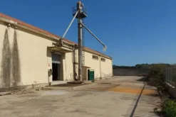 #20407 Complesso artigianale con cortile e pertinenze