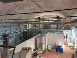 #22813 Complesso artigianale con depuratore e pertinenze