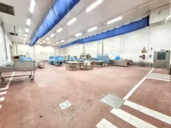 #2536471 Complesso aziendale destinato alla macellazione di suini
