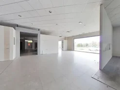 #2516001 Complesso commerciale con magazzini e terreni edificabili
