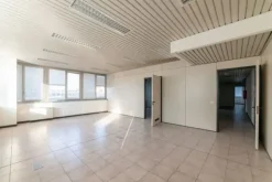 #15091 Complesso direzionale con area di pertinenza esclusiva