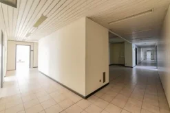 #15091 Complesso direzionale con area di pertinenza esclusiva