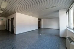 #15091 Complesso direzionale con area di pertinenza esclusiva