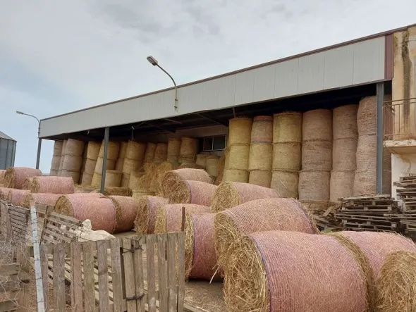 #13330 Complesso industriale