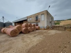 #13330 Complesso industriale