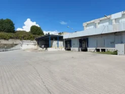 #18560 Complesso industriale con aree annesse