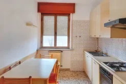 #19873 Complesso industriale con area scoperta