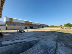 #10534 Complesso industriale con capacità edificatoria e terreni agricoli