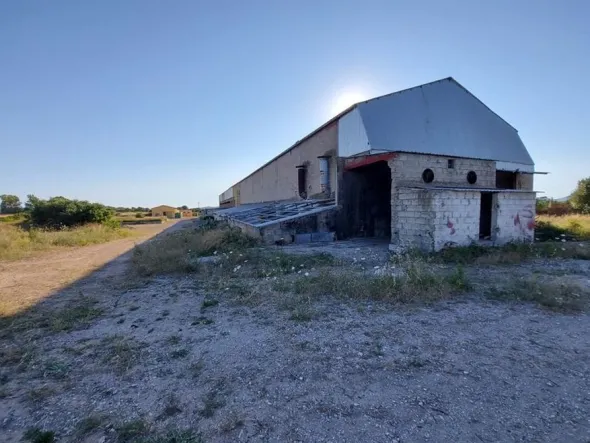 #10534 Complesso industriale con capacità edificatoria e terreni agricoli