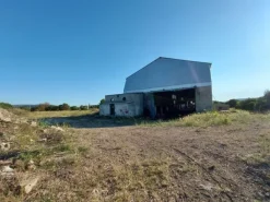 #10534 Complesso industriale con capacità edificatoria e terreni agricoli