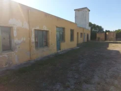 #10534 Complesso industriale con capacità edificatoria e terreni agricoli