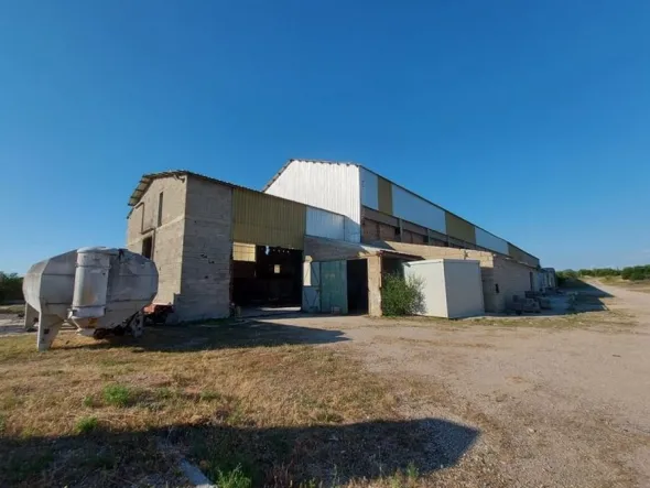 #10534 Complesso industriale con capacità edificatoria e terreni agricoli