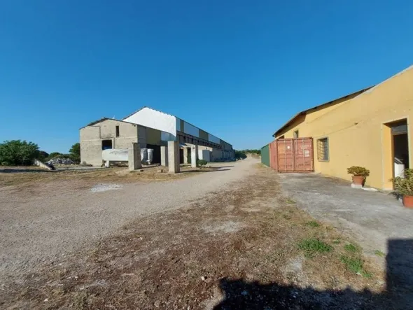 #10534 Complesso industriale con capacità edificatoria e terreni agricoli