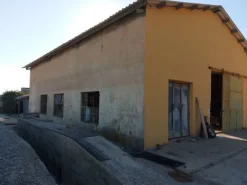 #10534 Complesso industriale con capacità edificatoria e terreni agricoli