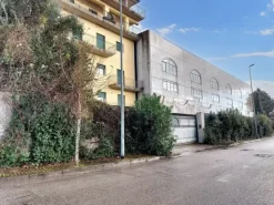 #21015 Complesso industriale con opificio ed uffici