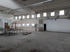 #19861 Complesso industriale con pertinenze