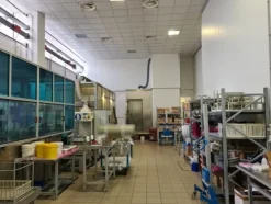 #15247 Complesso industriale con terreni