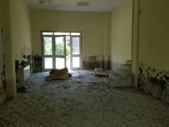 #24540 Complesso produttivo con palazzina uffici