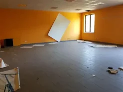 #24540 Complesso produttivo con palazzina uffici