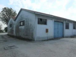 #14420 Complesso produttivo con terreno edificabile
