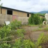 #21076 Complesso rurale con capannoni da ristrutturare