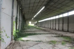 #21076 Complesso rurale con capannoni da ristrutturare
