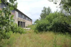#21076 Complesso rurale con capannoni da ristrutturare