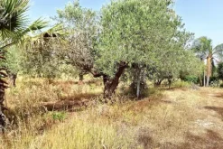 #23786 Complesso turistico-ricettivo con piscina e terreno